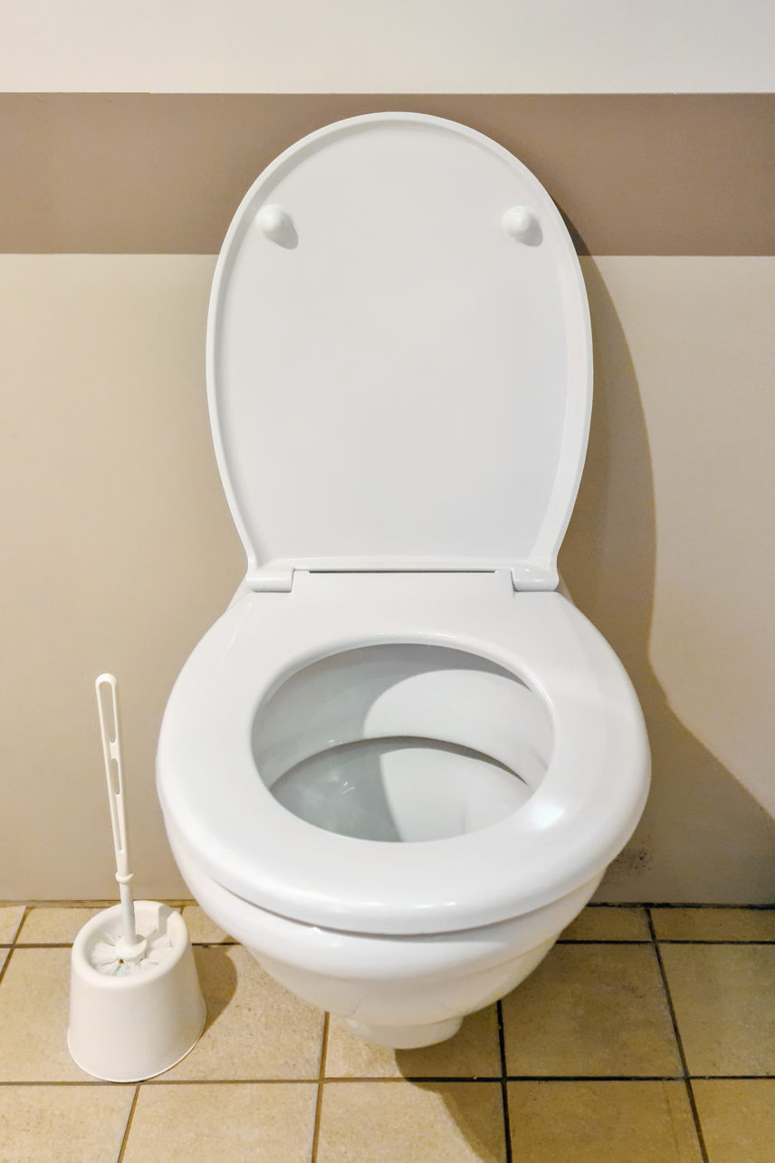 The Ultimate Padded Seat Raised Toilet Frame : Bathroom Aid with