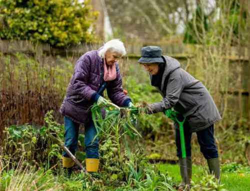 Engaging Hobbies for Seniors to Enrich Retirement Years